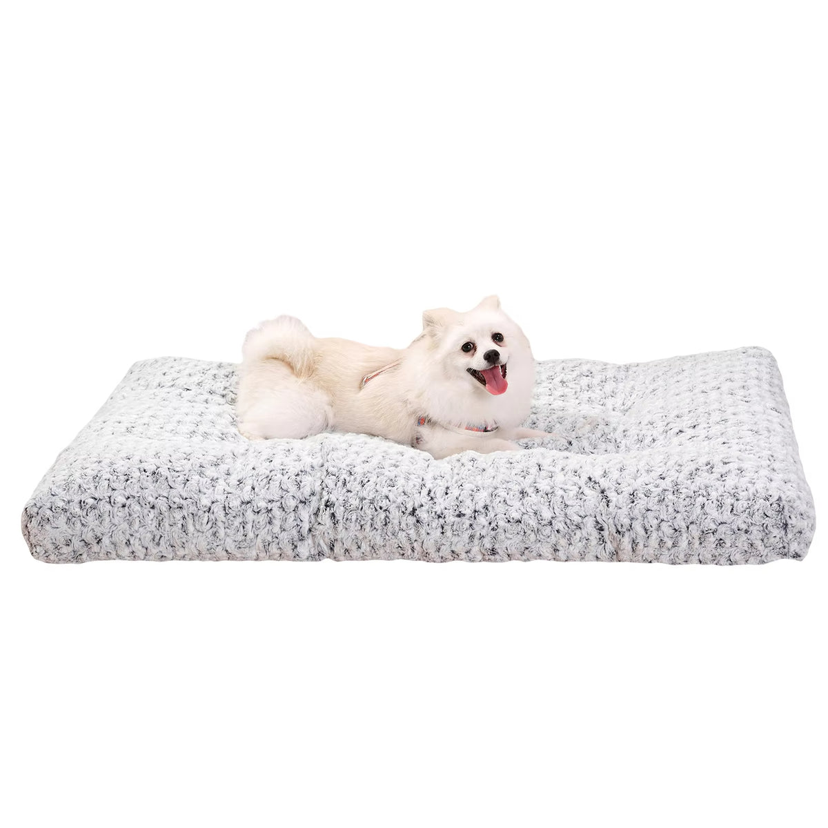 Orthopedic Dog Bed