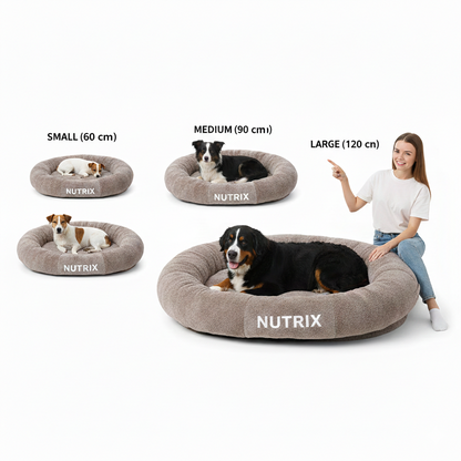 Memory Foam Plush Dog Bed