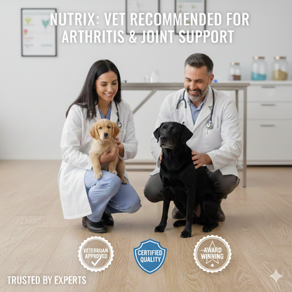 Nutrix Orthopedic Memory Foam Dog Bed