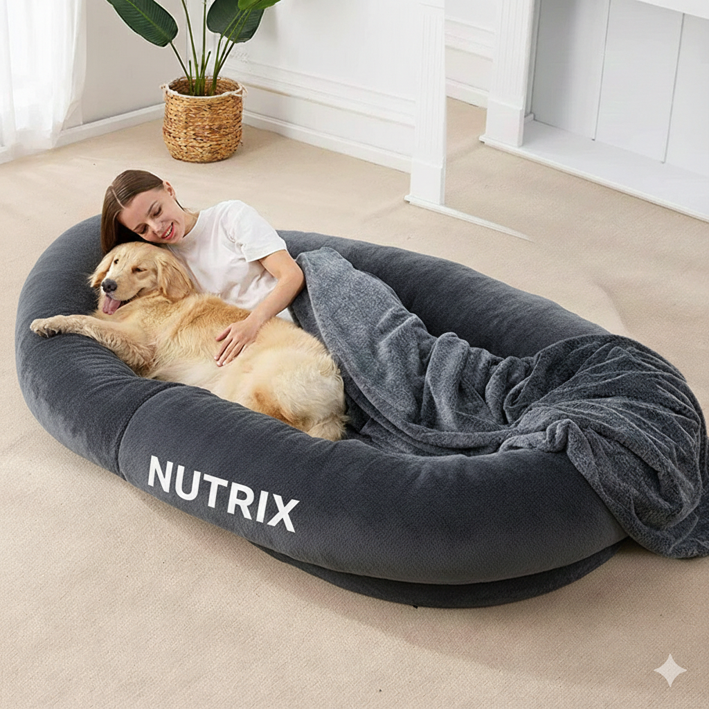 Memory Foam Plush Dog Bed