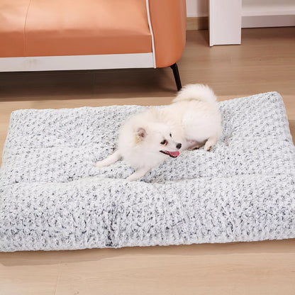 Orthopedic Dog Bed